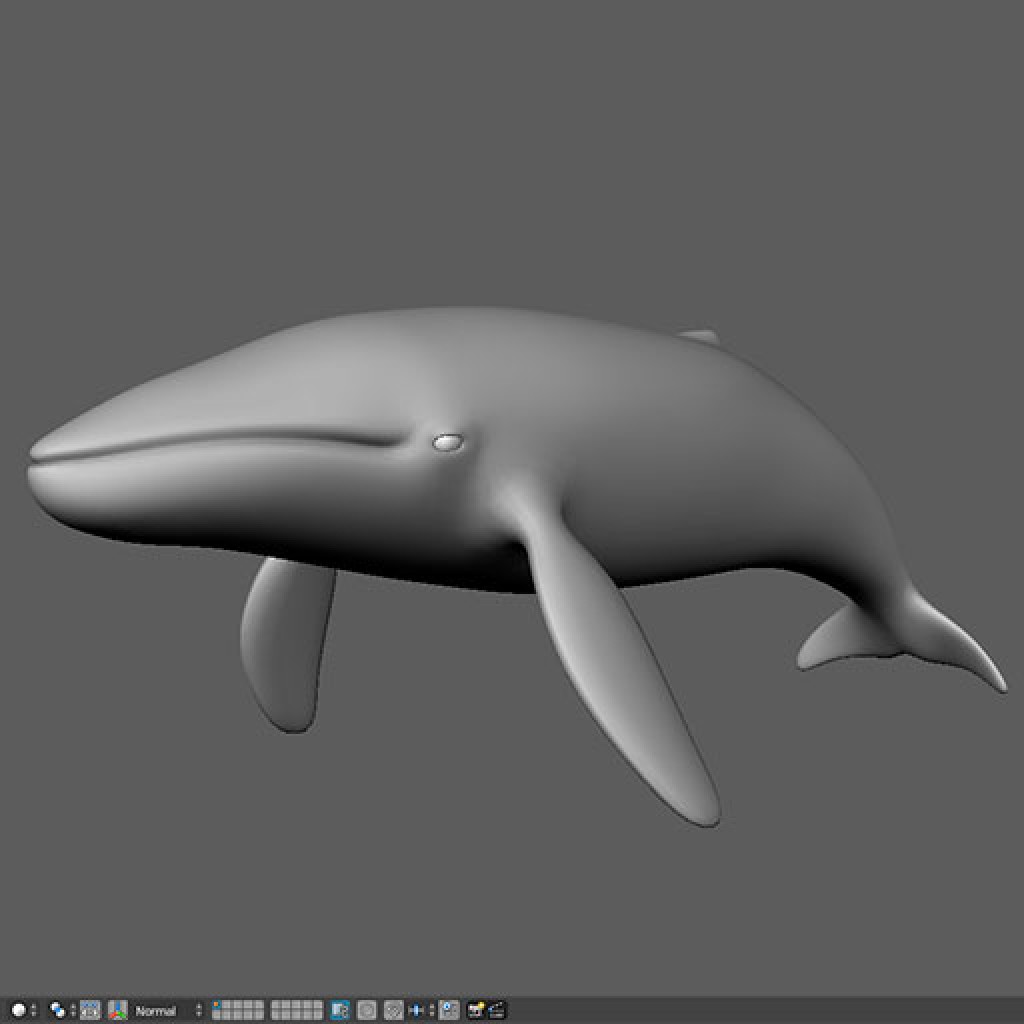 Blue Whale  preview image 1